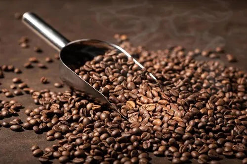 Umber Arabica